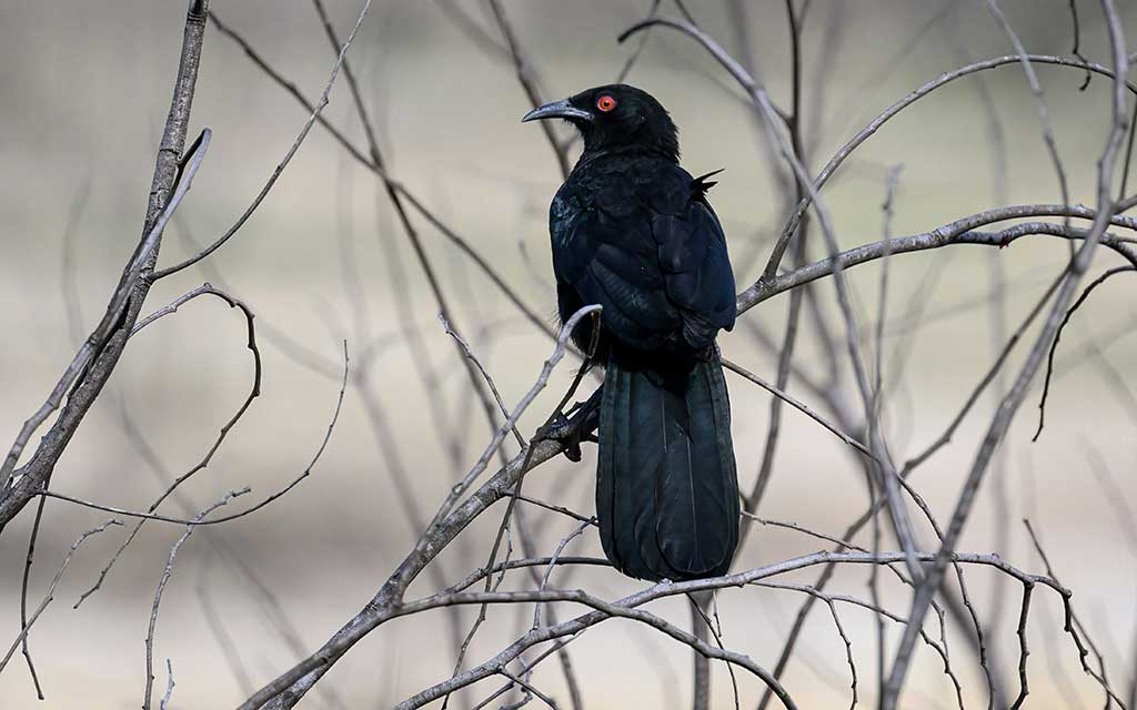 Feature image: pen_ash on Unsplash