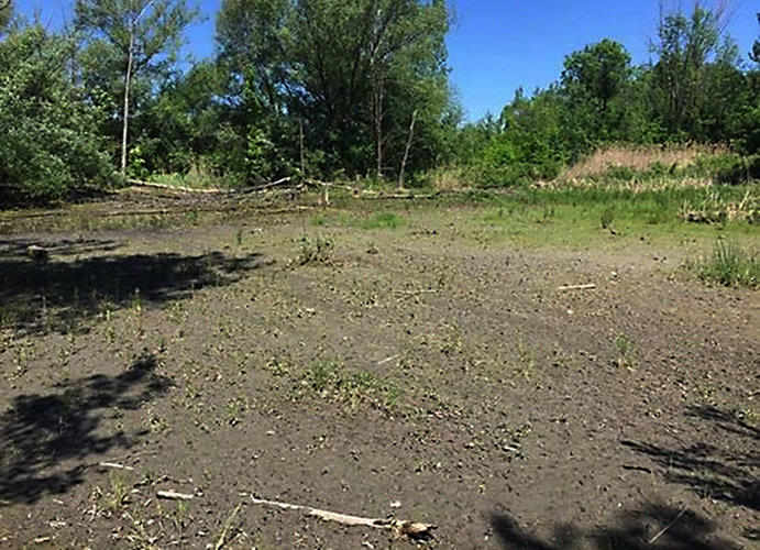 petit-marais Hubert Reeves drained