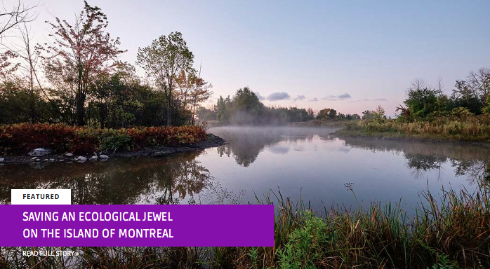 The collective momentum to protect our urban greenspaces is growing. By Katherine Collin