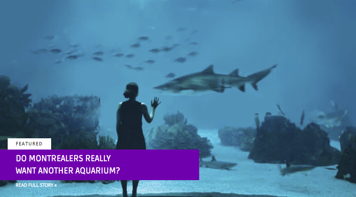 The public is more sensitized to the needs of species held captive in man-made facilities. By Georges Dupras