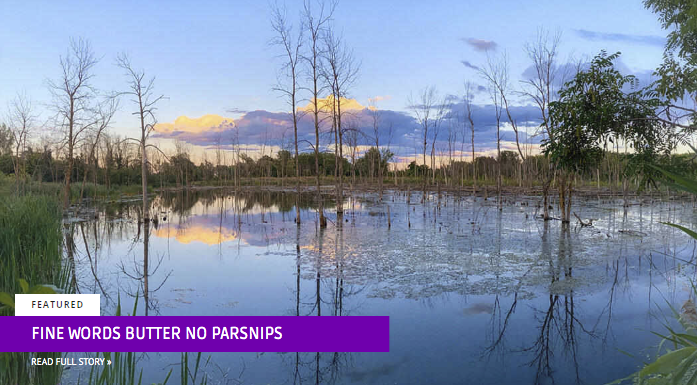 Fine Words Butter No Parsnips - How ADM has become a major stumbling block to environmental conservation. By Richard Swift