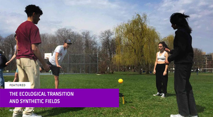 The ecological transition and synthetic fields