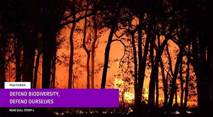 Defend Biodiversity, Defend Ourselves