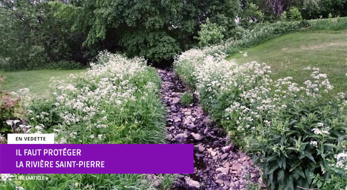 Rivière St-Pierre