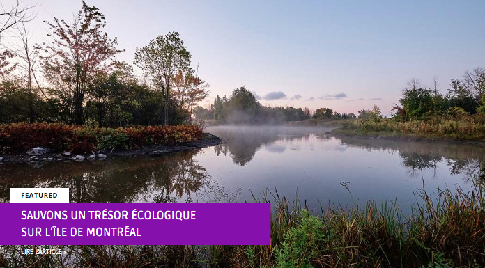 Sauvons un trésor écologique sur l’île de Montréal - L’élan collectif pour protéger nos espaces verts urbains prend de l’ampleur. Par Katherine Collin, co-organisatrice Technoparc Oiseaux