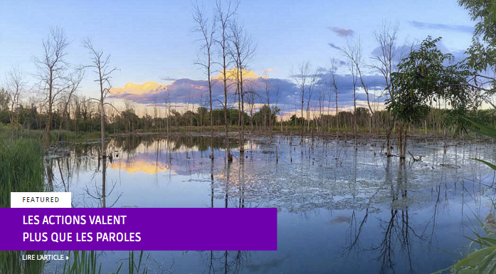 Zones humides du Technoparc