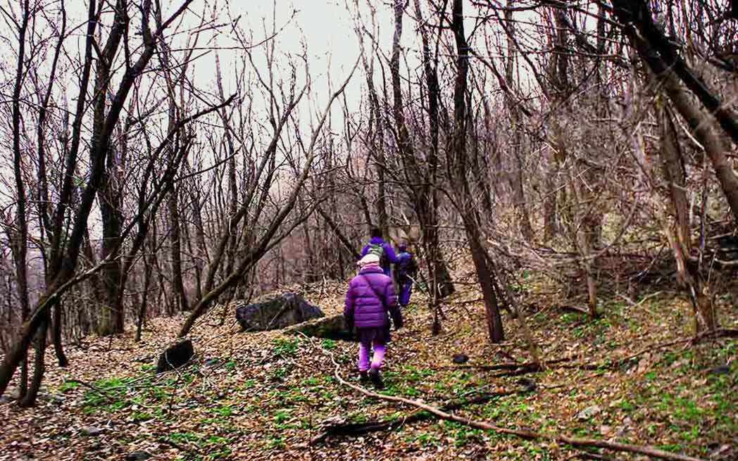 falaise St-Jacques - WestmountMag.ca