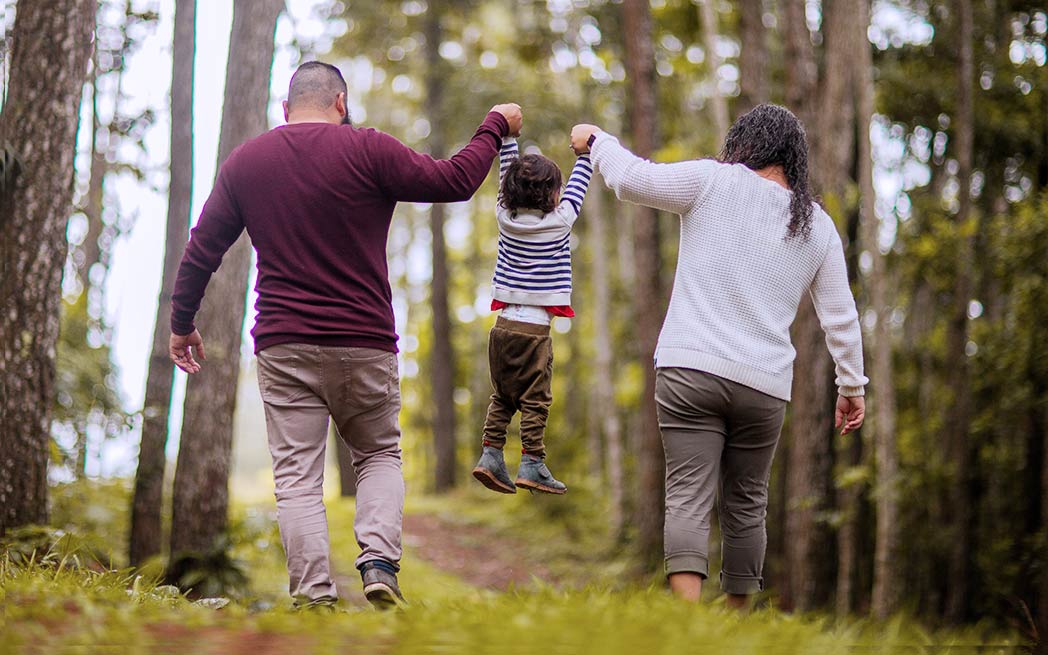 Promenade en forêt - Walking through woods