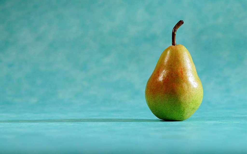 Festival végane de Montréal / FVM – WestmountMag.ca