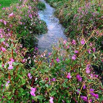 St. Pierre River – WestmountMag.ca