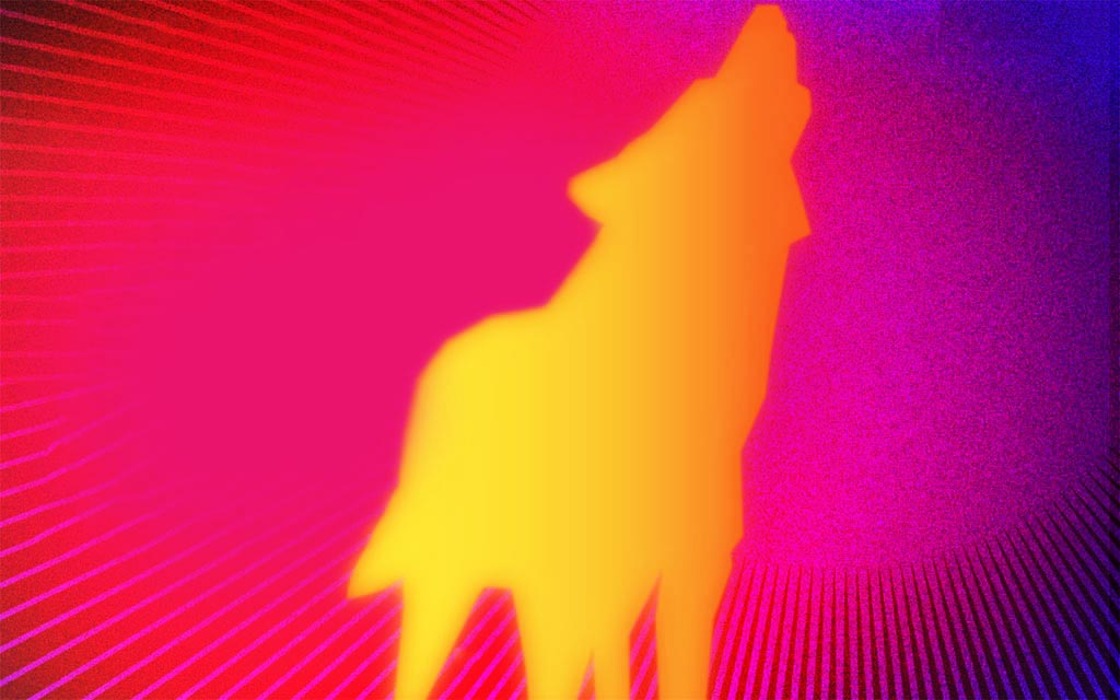 52e édition du Festival du nouveau cinéma (FNC)