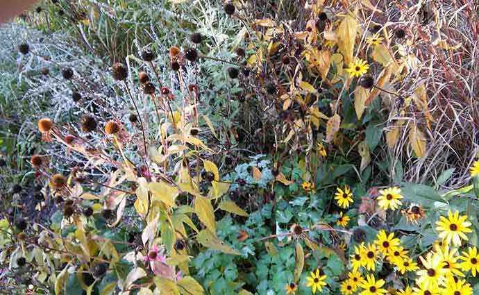 Angela Silver garden fall - WestmountMag.ca
