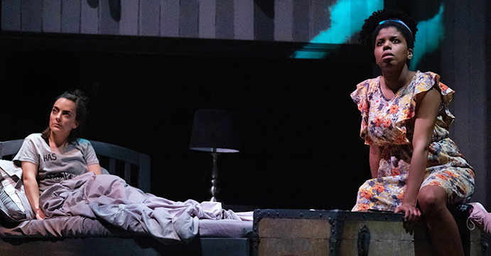 Virginia Wolf Geordie Theatre 