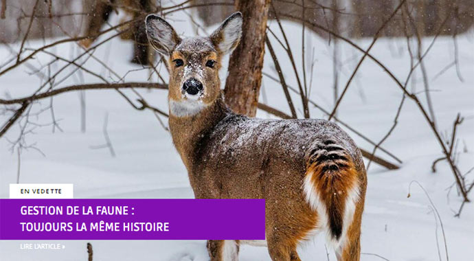 Gestion de la faune - Georges R. Dupras