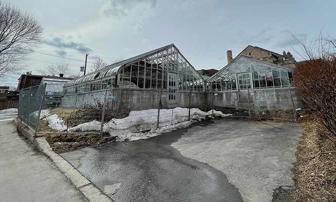 Westmount working greenhouses