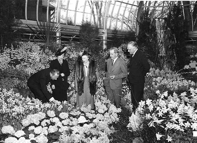 Westmount Conservatory