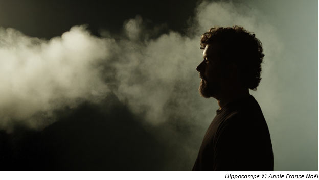 SAISON 2025-2026 DU THÉÂTRE AUX ÉCURIES - Hippocampe