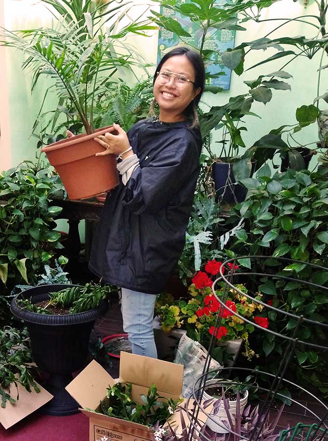 plant re-homing project 