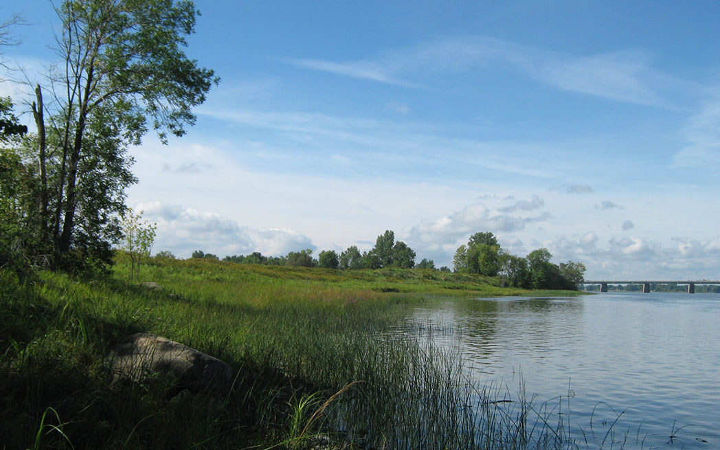 Ile Bonfoin - Conservation de la nature Canada