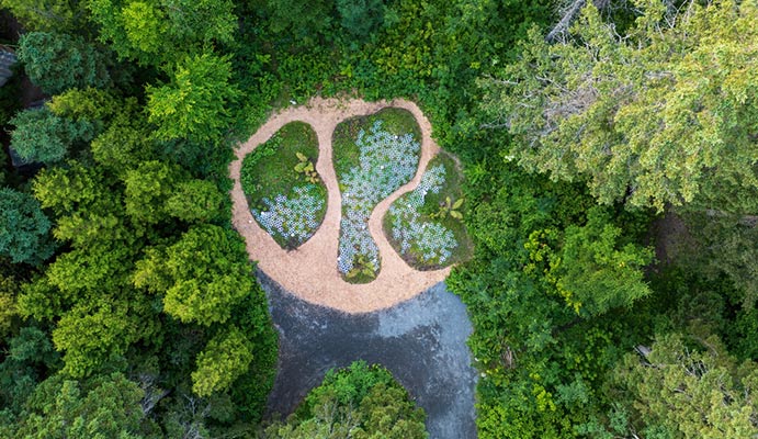 LICHEN de Marie-Pier Gauthier-Manes, Chloé Isaac, Victor Roussel, Montréal (Québec) Canada / Paris, France Crédit photo : JC Lemay