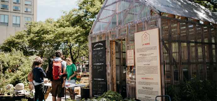 Jardins Gamelin - Agriculture urbaine – WestmountMag.ca