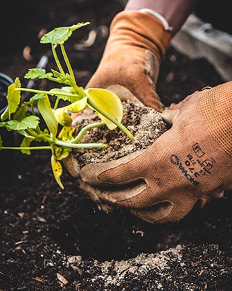 Jardins nourriciers de l’Avenue
