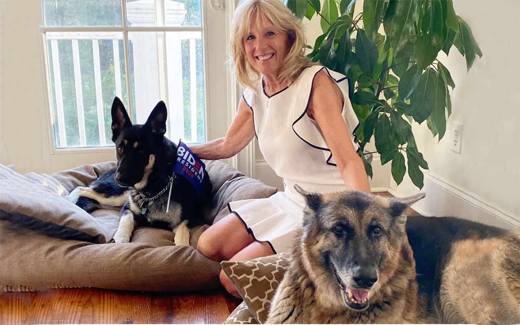 Jill Biden with dogs