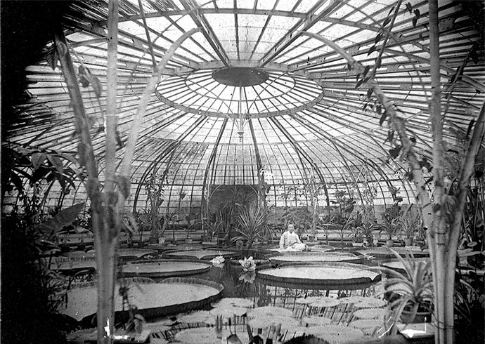 Leiden University botanical gardens