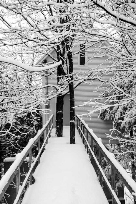 Kassandra Reynolds - Équilibre