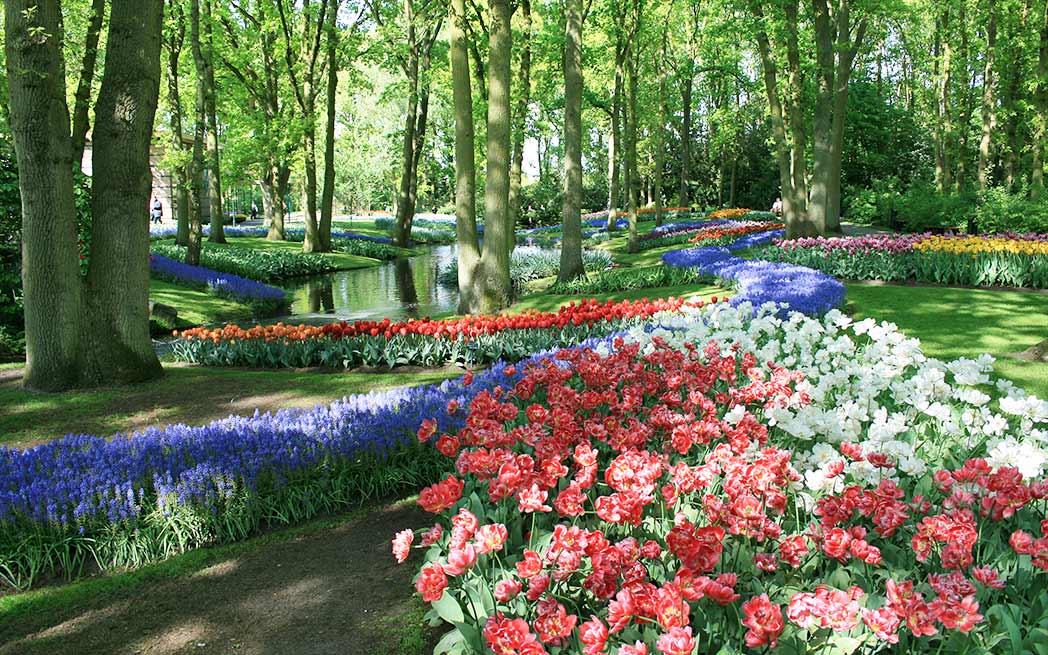 Keukenhof Park Netherlands