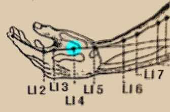 Acupressure Large Intestine 4 - Westmountmag.ca