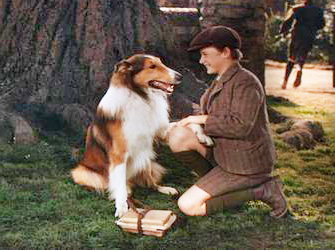 Pal as Lassie in first film 