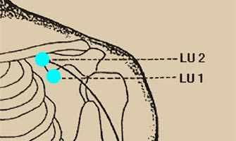 L1 and L2 acupressure points - Westmountmag.ca