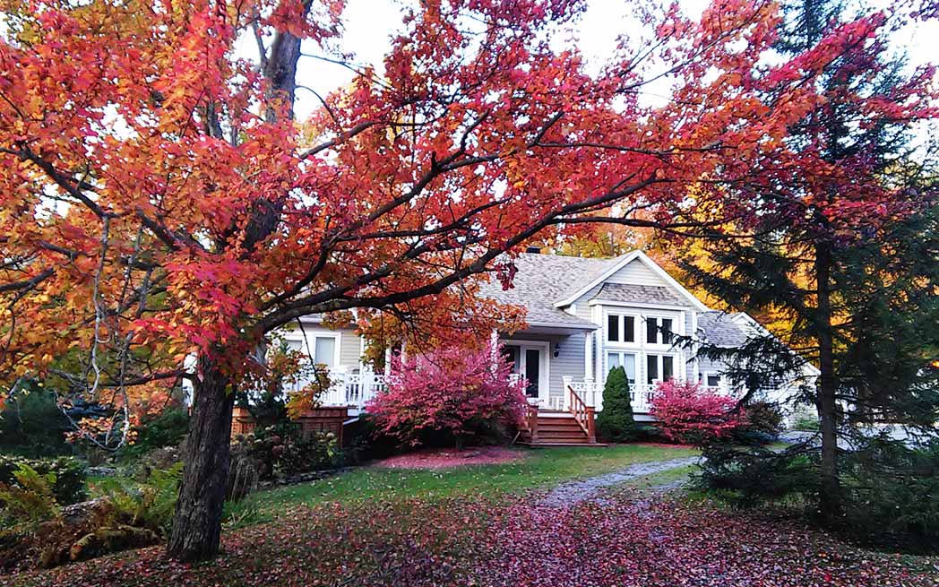 House in fall
