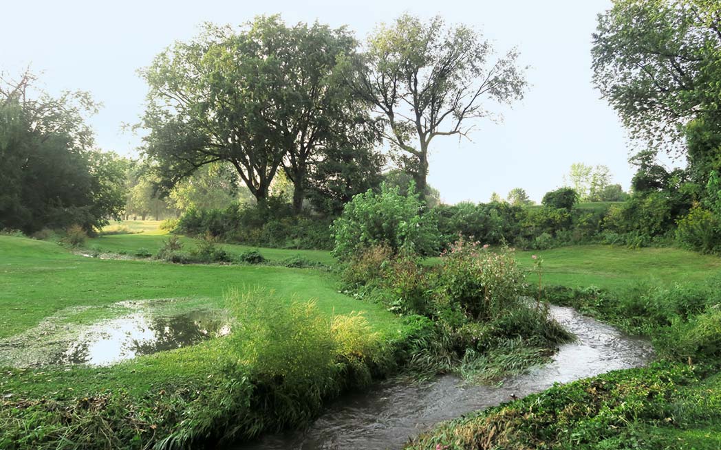 St. Pierre River at Meadowbrook