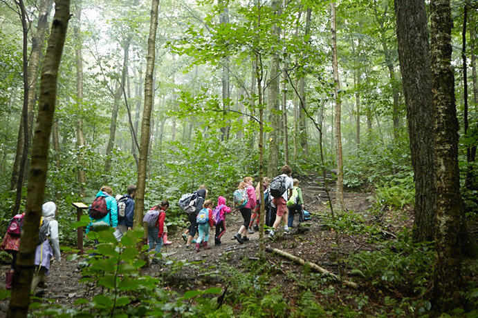 Green Mountains trail