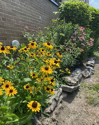 MOSD butterfly garden