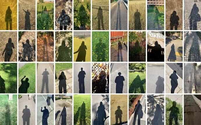 49e édition du Festival du nouveau cinéma de Montréal (FNC) - Motto Performance –WestmountMag.ca