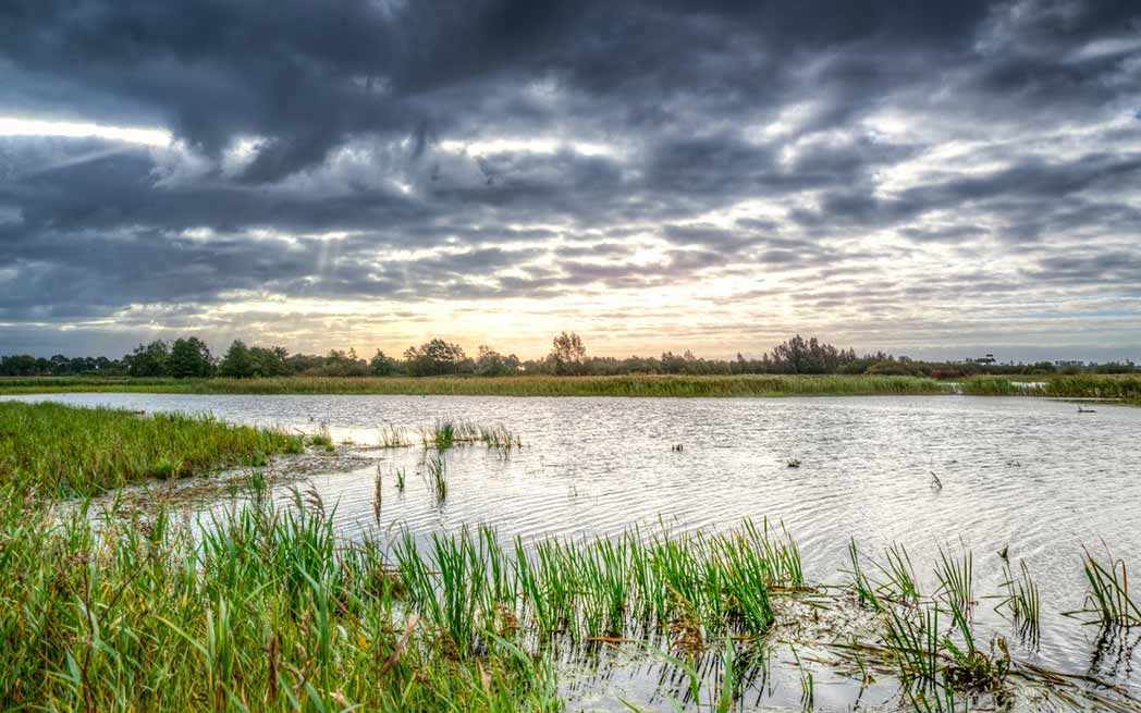 Green Coalition – Bill 66 & environment