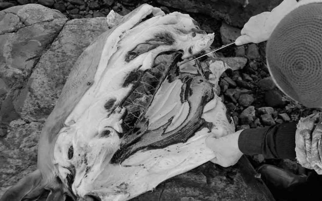 La Guilde – Nunatsiavut / La Beauté de notre territoire – WestmountMag.ca