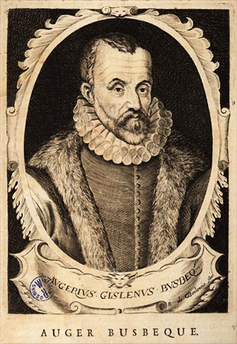 Ogier Ghislain de Busbeck