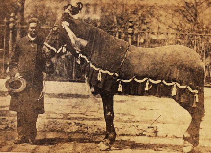 Old Bob Lincoln’s horse