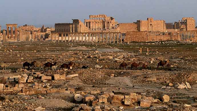Palmyra