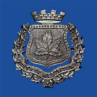 plated version of cap badge