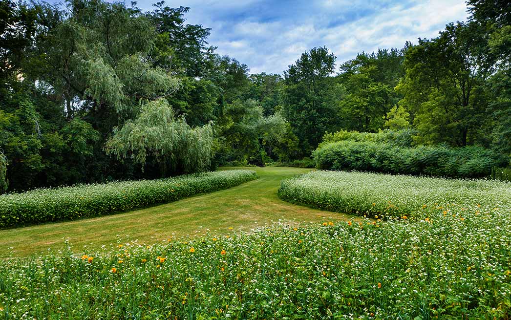 pollinator garden Vergennes VT