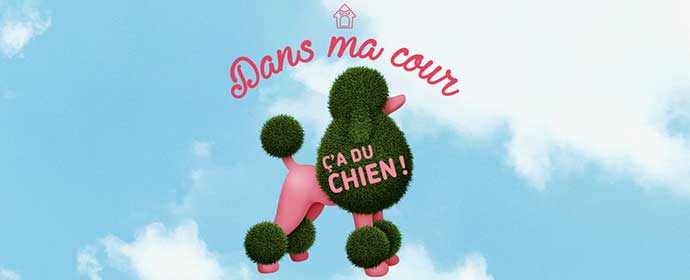 Dans ma cour... ç'a du chien ! – WestmountMag.ca