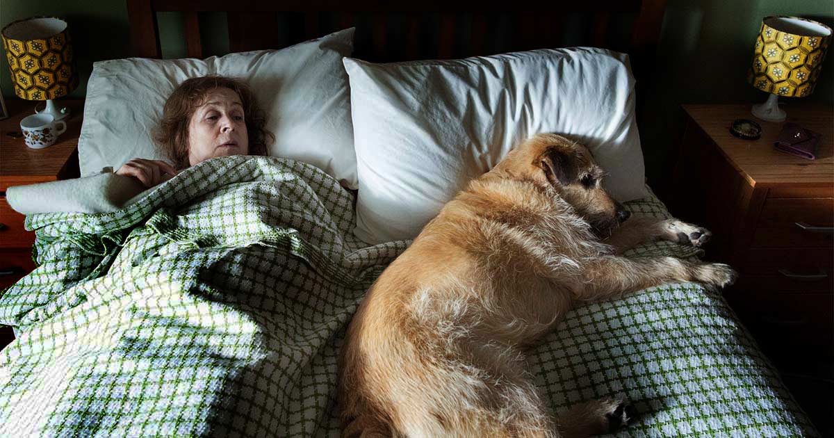 Roise & Frank film - Westmountmag.ca