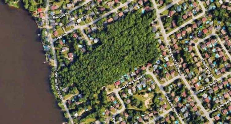 Rousseau Forest in Pincourt