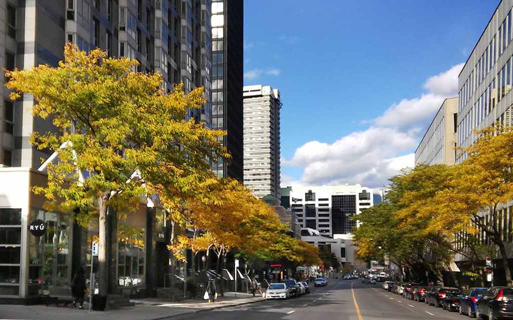 Ste-Catherine St, Montreal