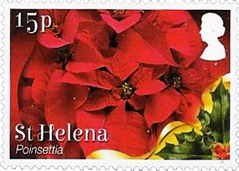 St. Helena Poinsettia stamp